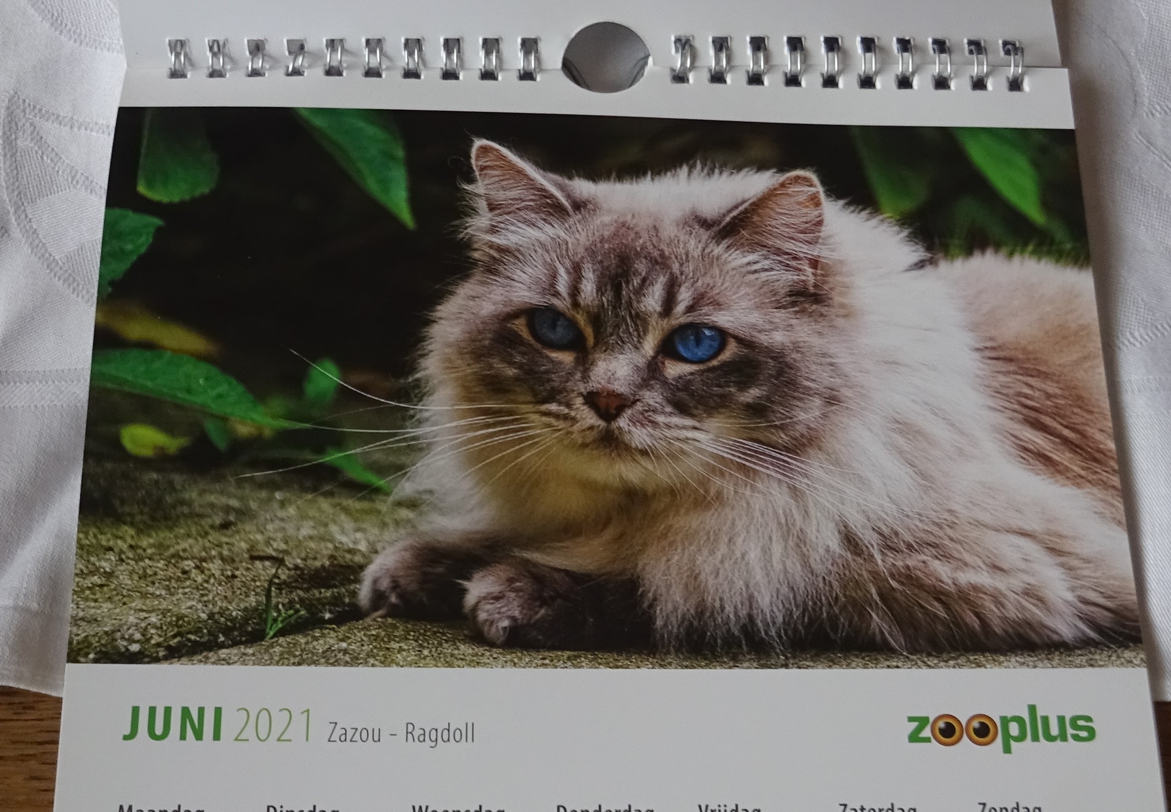 Kalender – ZooPlus 2021 – Boekenwurm