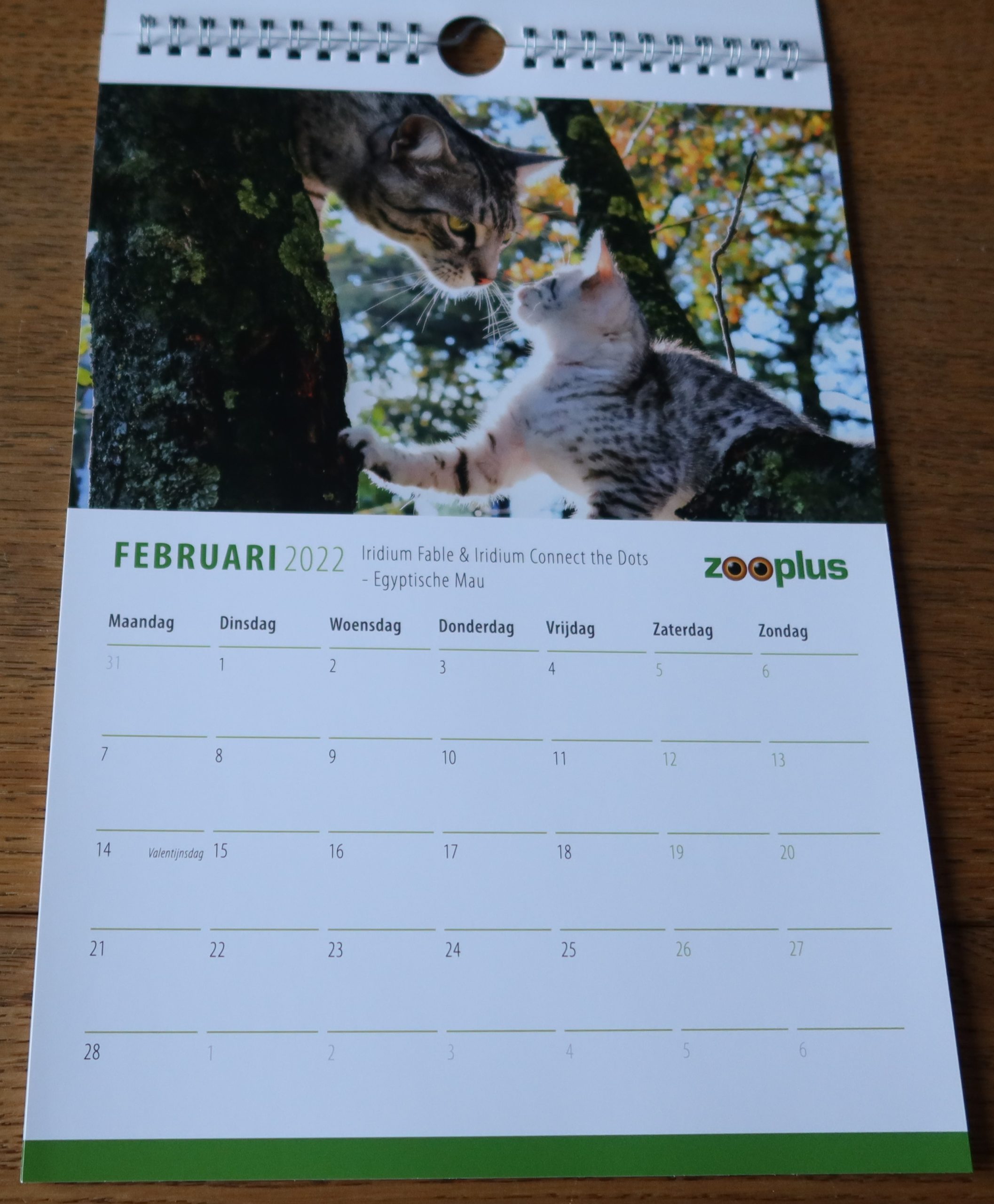 Kalender – ZooPlus 2022 – Boekenwurm