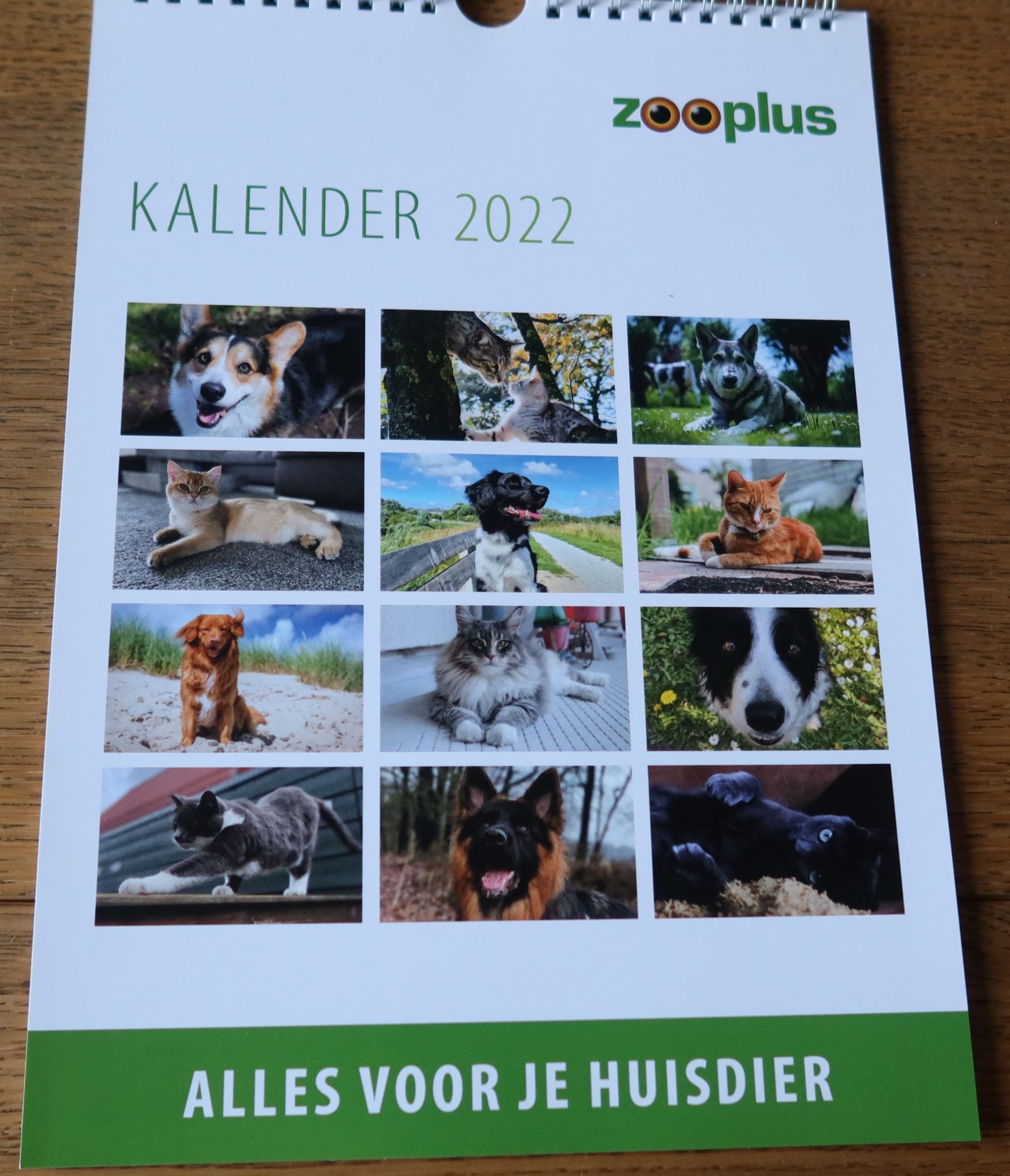 Kalender – ZooPlus 2022 – Boekenwurm